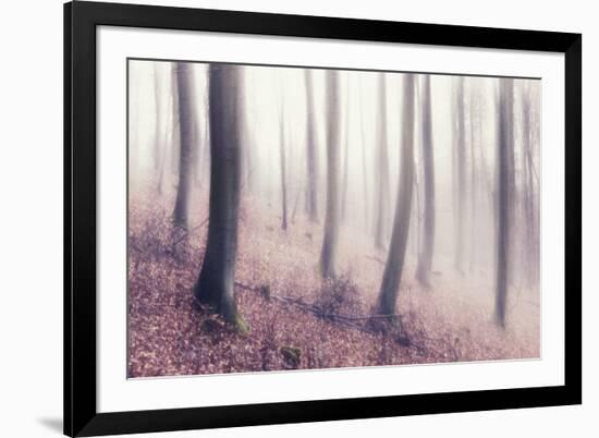 Bare Beech Forest in Winter, Abstract Study [M], Film Grain Visible-Andreas Vitting-Framed Photographic Print