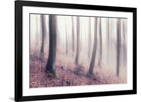 Bare Beech Forest in Winter, Abstract Study [M], Film Grain Visible-Andreas Vitting-Framed Photographic Print