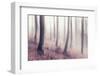 Bare Beech Forest in Winter, Abstract Study [M], Film Grain Visible-Andreas Vitting-Framed Photographic Print