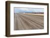 Bare Farmland with Tulip Fields in the Netherlands-kruwt-Framed Photographic Print