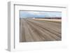Bare Farmland with Tulip Fields in the Netherlands-kruwt-Framed Photographic Print
