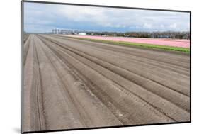 Bare Farmland with Tulip Fields in the Netherlands-kruwt-Mounted Photographic Print