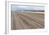 Bare Farmland with Tulip Fields in the Netherlands-kruwt-Framed Photographic Print