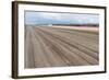 Bare Farmland with Tulip Fields in the Netherlands-kruwt-Framed Photographic Print