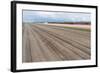 Bare Farmland with Tulip Fields in the Netherlands-kruwt-Framed Photographic Print