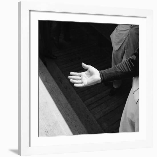 Bare Hand of Baseball Player Ted Williams-Ralph Morse-Framed Premium Photographic Print