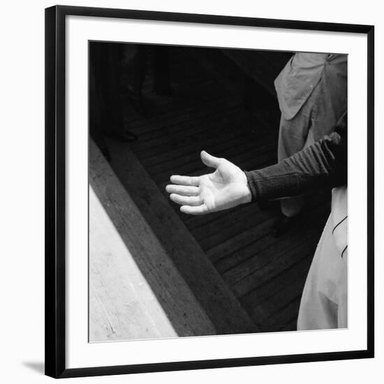 Bare Hand of Baseball Player Ted Williams-Ralph Morse-Framed Premium Photographic Print