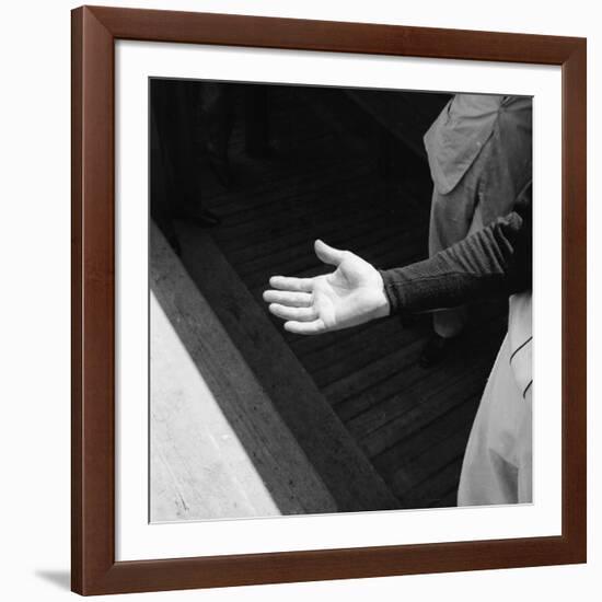 Bare Hand of Baseball Player Ted Williams-Ralph Morse-Framed Premium Photographic Print