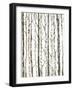 Bare I-Tim O'toole-Framed Art Print