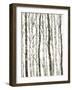 Bare II-Tim O'toole-Framed Art Print