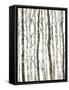 Bare II-Tim O'toole-Framed Stretched Canvas