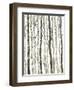 Bare II-Tim O'toole-Framed Art Print