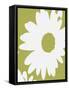 Bare Naked Daisy-Ruth Palmer-Framed Stretched Canvas