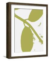 Bare Naked Leaves-Ruth Palmer-Framed Art Print