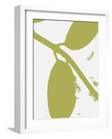 Bare Naked Leaves-Ruth Palmer-Framed Art Print