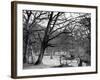 Bare Spring Branches-null-Framed Photographic Print