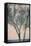 Bare Tree Against Sea-Steve Allsopp-Framed Stretched Canvas