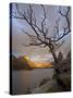 Bare Tree at Sunrise, St. Mary Lake, Glacier National Park, Montana, USA-James Hager-Stretched Canvas