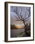 Bare Tree at Sunrise, St. Mary Lake, Glacier National Park, Montana, USA-James Hager-Framed Photographic Print