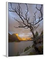 Bare Tree at Sunrise, St. Mary Lake, Glacier National Park, Montana, USA-James Hager-Framed Photographic Print