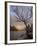 Bare Tree at Sunrise, St. Mary Lake, Glacier National Park, Montana, USA-James Hager-Framed Photographic Print