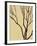 Bare Tree I-Norman Wyatt Jr.-Framed Art Print