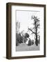 Bare Tree in Snow-PinkBadger-Framed Photographic Print