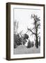 Bare Tree in Snow-PinkBadger-Framed Photographic Print