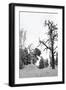 Bare Tree in Snow-PinkBadger-Framed Photographic Print