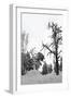 Bare Tree in Snow-PinkBadger-Framed Photographic Print