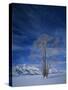 Bare Tree in Snowy Landscape, Grand Teton National Park, Wyoming, USA-Scott T. Smith-Stretched Canvas