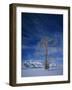 Bare Tree in Snowy Landscape, Grand Teton National Park, Wyoming, USA-Scott T. Smith-Framed Photographic Print