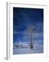 Bare Tree in Snowy Landscape, Grand Teton National Park, Wyoming, USA-Scott T. Smith-Framed Photographic Print
