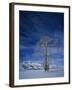 Bare Tree in Snowy Landscape, Grand Teton National Park, Wyoming, USA-Scott T. Smith-Framed Photographic Print