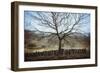 Bare Tree in Winter-Clive Nolan-Framed Photographic Print