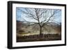 Bare Tree in Winter-Clive Nolan-Framed Photographic Print