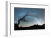 Bare tree under the Milky Way arch in the starry sky over Pico Ruivo mountain, Madeira, Portugal-Roberto Moiola-Framed Photographic Print