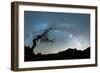 Bare tree under the Milky Way arch in the starry sky over Pico Ruivo mountain, Madeira, Portugal-Roberto Moiola-Framed Photographic Print