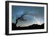 Bare tree under the Milky Way arch in the starry sky over Pico Ruivo mountain, Madeira, Portugal-Roberto Moiola-Framed Photographic Print