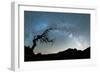 Bare tree under the Milky Way arch in the starry sky over Pico Ruivo mountain, Madeira, Portugal-Roberto Moiola-Framed Photographic Print