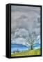 Bare Tree Vertical-Robert Goldwitz-Framed Stretched Canvas