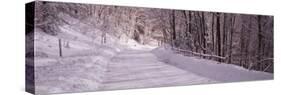 Bare Trees along a Snow Covered Road, Crystal Downs, Michigan, USA-null-Stretched Canvas