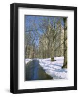 Bare Trees and Snow in Winter in Central Park, Manhattan, New York City, USA-David Lomax-Framed Photographic Print