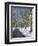 Bare Trees and Snow in Winter in Central Park, Manhattan, New York City, USA-David Lomax-Framed Photographic Print