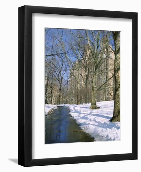 Bare Trees and Snow in Winter in Central Park, Manhattan, New York City, USA-David Lomax-Framed Photographic Print