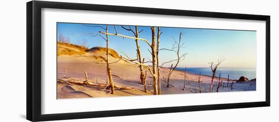 Bare trees at the lakeside, Ghost Forest, Sleeping Bear Dunes National Lakeshore, Michigan, USA-null-Framed Photographic Print