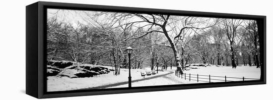 Bare Trees During Winter in a Park, Central Park, Manhattan, New York City, New York State, USA-null-Framed Stretched Canvas