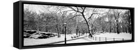 Bare Trees During Winter in a Park, Central Park, Manhattan, New York City, New York State, USA-null-Framed Stretched Canvas