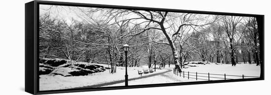 Bare Trees During Winter in a Park, Central Park, Manhattan, New York City, New York State, USA-null-Framed Stretched Canvas