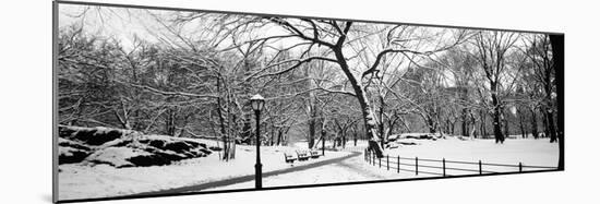 Bare Trees During Winter in a Park, Central Park, Manhattan, New York City, New York State, USA-null-Mounted Photographic Print
